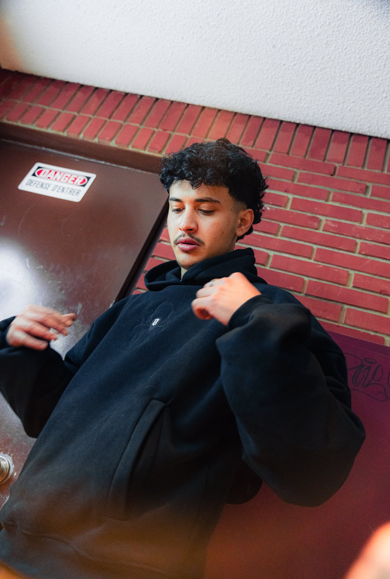 CROPPED SPIDER HOODIE